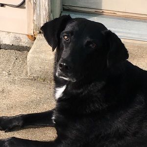 Meet your Posher, Nic